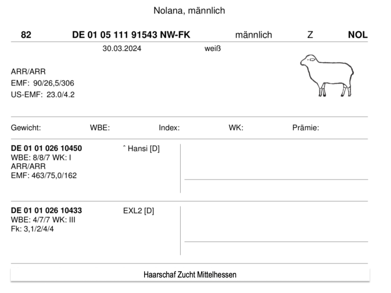 Abstammung Zuchtbock Abstammung Zuchtbock